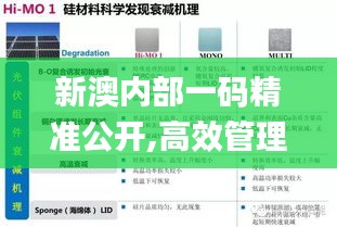 新澳内部一码精准公开,高效管理优化执行_PGE9.20.81远光版