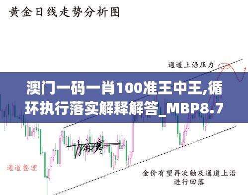 澳门一码一肖100准王中王,循环执行落实解释解答_MBP8.76.97变革版