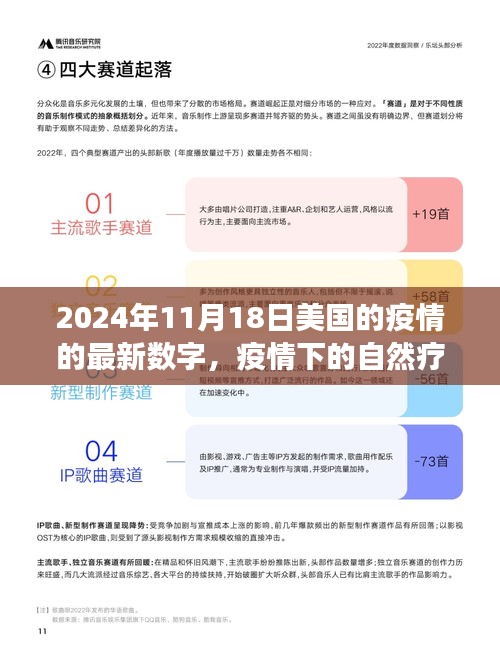 美国疫情最新动态与美景之旅，疫情下的自然疗愈与宁静之旅（2024年11月）