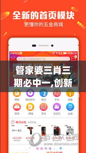 管家婆三肖三期必中一,创新方案解析执行_WQO1.74.56解谜版