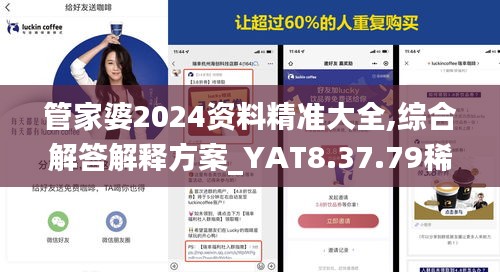 管家婆2024资料精准大全,综合解答解释方案_YAT8.37.79稀缺版