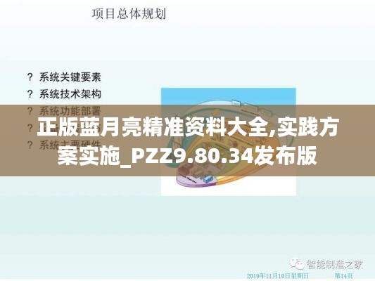 正版蓝月亮精准资料大全,实践方案实施_PZZ9.80.34发布版