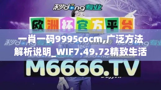 一肖一码9995cocm,广泛方法解析说明_WIF7.49.72精致生活版