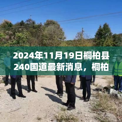 桐柏县2024年11月19日240国道最新进展深度解析与重磅更新消息🌟