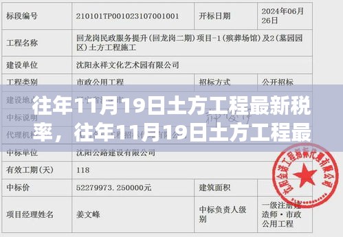 往年11月19日土方工程最新税率深度解析，特性、体验、竞品对比与全面解读报告