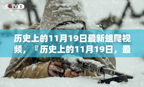 历史上的11月19日，最新蛆爬视频全面评测与介绍