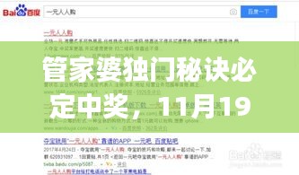 管家婆独门秘诀必定中奖，11月19日历史回顾与解读_OAX9.44.33方案版