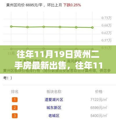 往年11月19日黄州二手房市场深度解析，最新房源特性、用户体验评测与出售信息概览