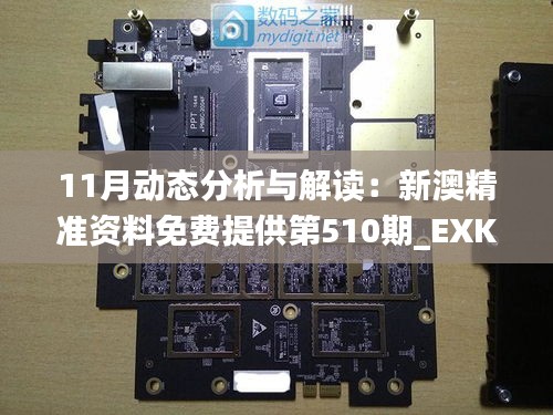 11月动态分析与解读：新澳精准资料免费提供第510期_EXK3.14.34策展版