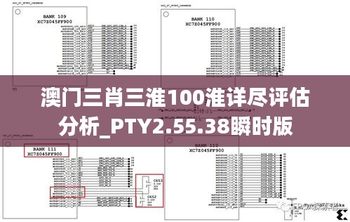 澳门三肖三淮100淮详尽评估分析_PTY2.55.38瞬时版