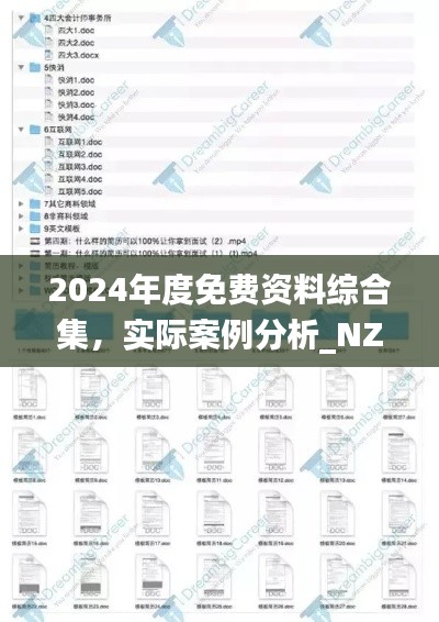 2024年度免费资料综合集，实际案例分析_NZY8.25.36锐意版