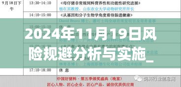 2024年11月19日风险规避分析与实施_未来科技BFF5.13.26