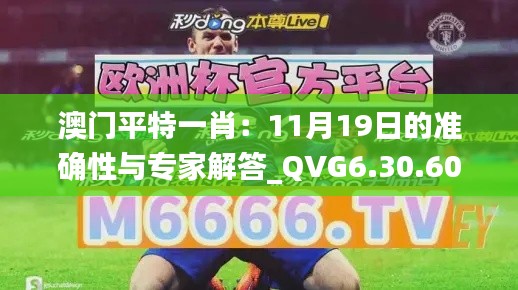 澳门平特一肖：11月19日的准确性与专家解答_QVG6.30.60UHD