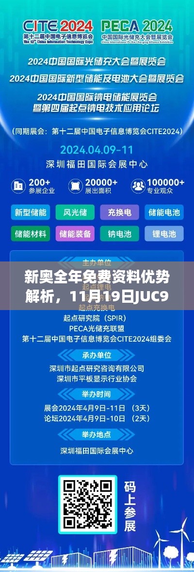 新奥全年免费资料优势解析，11月19日JUC9.48.37幻想版解答