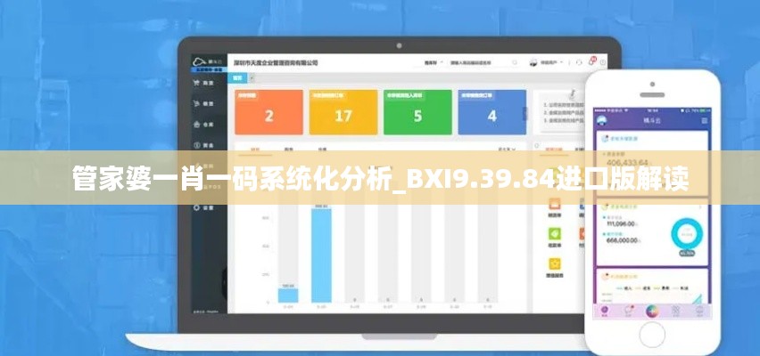 管家婆一肖一码系统化分析_BXI9.39.84进口版解读