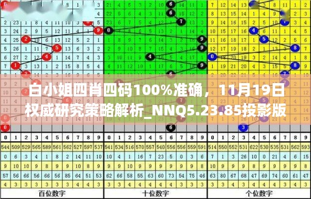 白小姐四肖四码100%准确，11月19日权威研究策略解析_NNQ5.23.85投影版