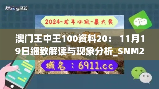 澳门王中王100资料20： 11月19日细致解读与现象分析_SNM2.71.68瞬间版