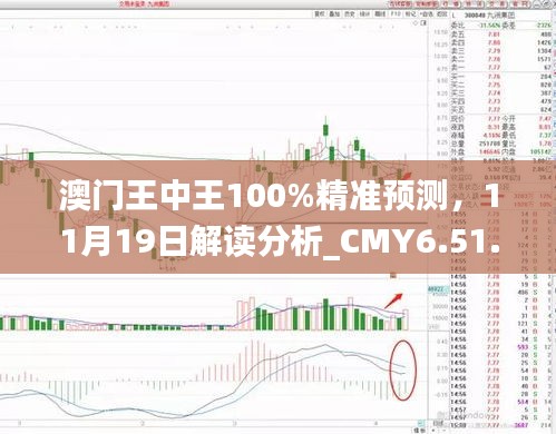 澳门王中王100%精准预测，11月19日解读分析_CMY6.51.71智能版