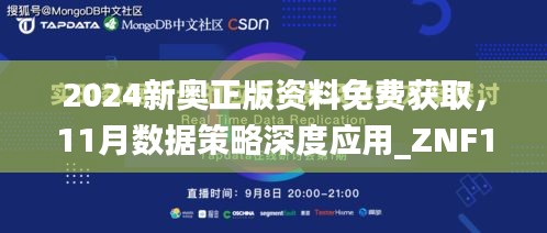 2024新奥正版资料免费获取，11月数据策略深度应用_ZNF1.26.24外观版