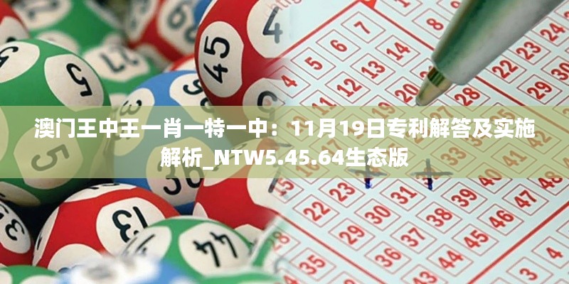 澳门王中王一肖一特一中：11月19日专利解答及实施解析_NTW5.45.64生态版