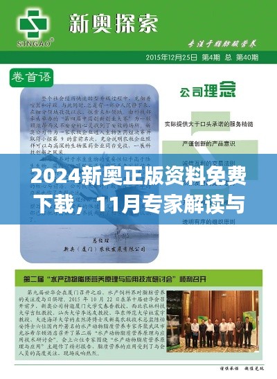 2024新奥正版资料免费下载，11月专家解读与现象分析_FZJ6.48.58互动版