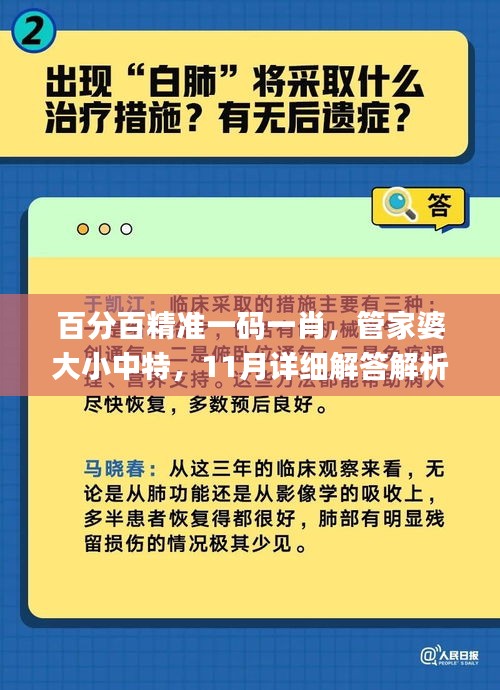 百分百精准一码一肖，管家婆大小中特，11月详细解答解析实施_WIO8.23.76网络版