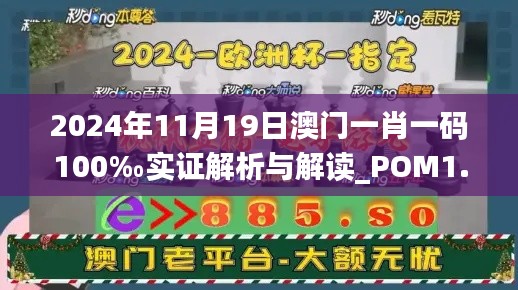 2024年11月19日澳门一肖一码100‰实证解析与解读_POM1.16.29影像版