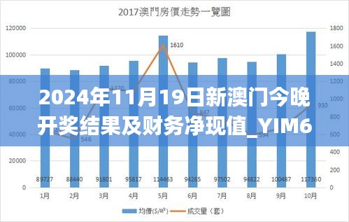 2024年11月19日新澳门今晚开奖结果及财务净现值_YIM6.51.84精华版