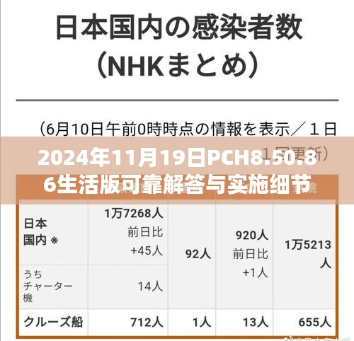 2024年11月19日PCH8.50.86生活版可靠解答与实施细节