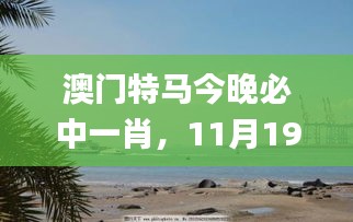 澳门特马今晚必中一肖，11月19日最新动态解析与讨论_QJN8.68.26梦幻版