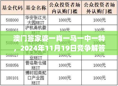 澳门答家婆一肖一马一中一特，2024年11月19日竞争解答与实施_VSG6.29.24珍藏版