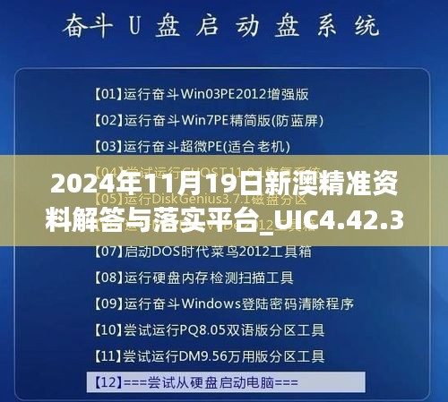 2024年11月19日新澳精准资料解答与落实平台_UIC4.42.32神器版