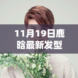 鹿晗最新发型揭秘，11月19日时尚发型DIY教程与剪发技巧