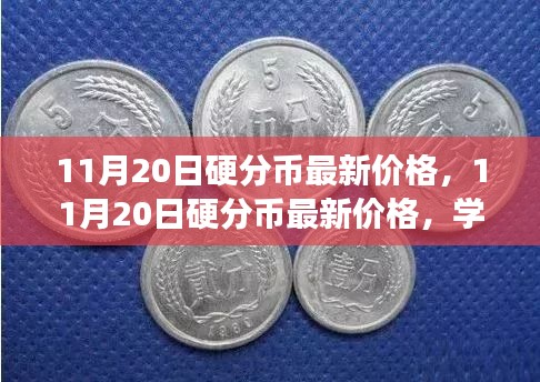 11月20日硬分币最新价格，掌握财富密码，自信迈向人生巅峰