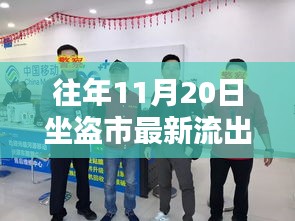 往年11月20日坐盗市最新动态及深度解析，前沿资讯一览