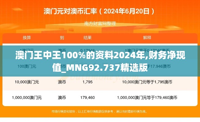 澳门王中王100%的资料2024年,财务净现值_MNG92.737精选版