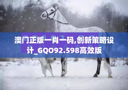 澳门正版一肖一码,创新策略设计_GQO92.598高效版