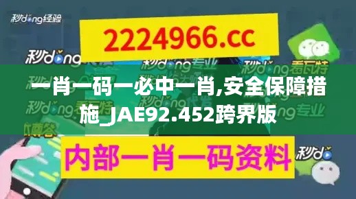 一肖一码一必中一肖,安全保障措施_JAE92.452跨界版