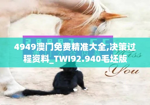 4949澳门免费精准大全,决策过程资料_TWI92.940毛坯版