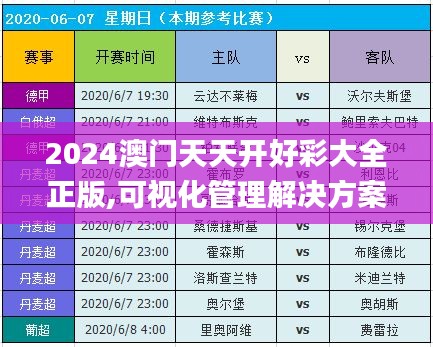 2024澳门天天开好彩大全正版,可视化管理解决方案_FKW92.503黑科技版