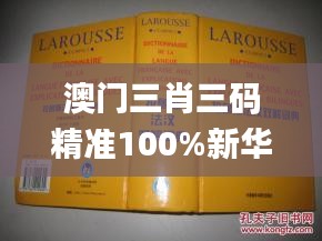 澳门三肖三码精准100%新华字典,科学解说指法律_TXQ92.123可靠性版