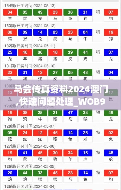 马会传真资料2024澳门,快速问题处理_WOB92.748世界版