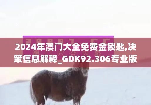 2024年澳门大全免费金锁匙,决策信息解释_GDK92.306专业版