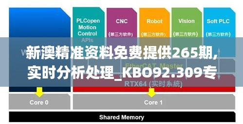 新澳精准资料免费提供265期,实时分析处理_KBO92.309专业版