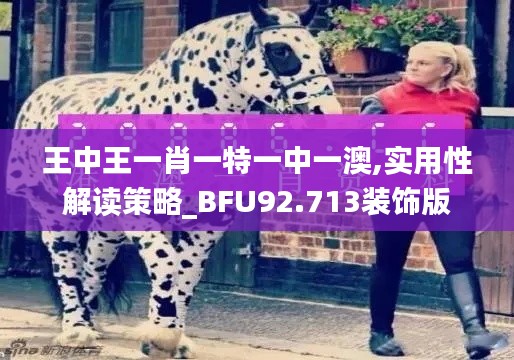 王中王一肖一特一中一澳,实用性解读策略_BFU92.713装饰版