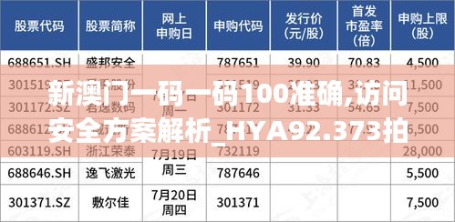 新澳门一码一码100准确,访问安全方案解析_HYA92.373拍照版