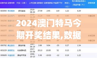 2024澳门特马今期开奖结果,数据分析计划_JKH92.503传达版