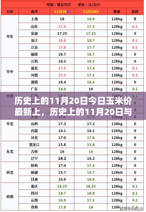 历史上的11月20日玉米价格走势分析，最新数据与趋势解析