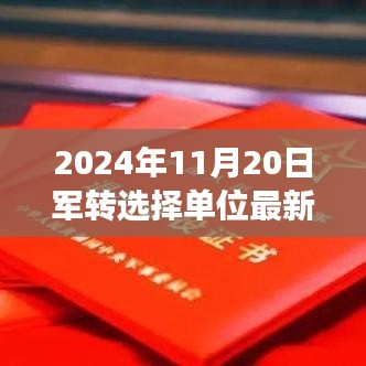 2024年军转选择单位最新排名，时代变迁下的影响分析