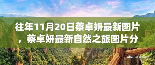 往年11月20日蔡卓妍最新图片，蔡卓妍最新自然之旅图片分享，探索自然美景，寻找内心平静的力量